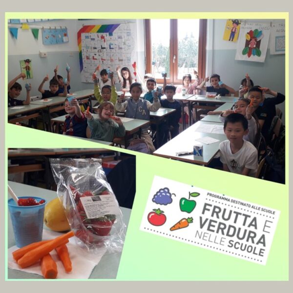 15 FOTO FRUTTA E VERDURA